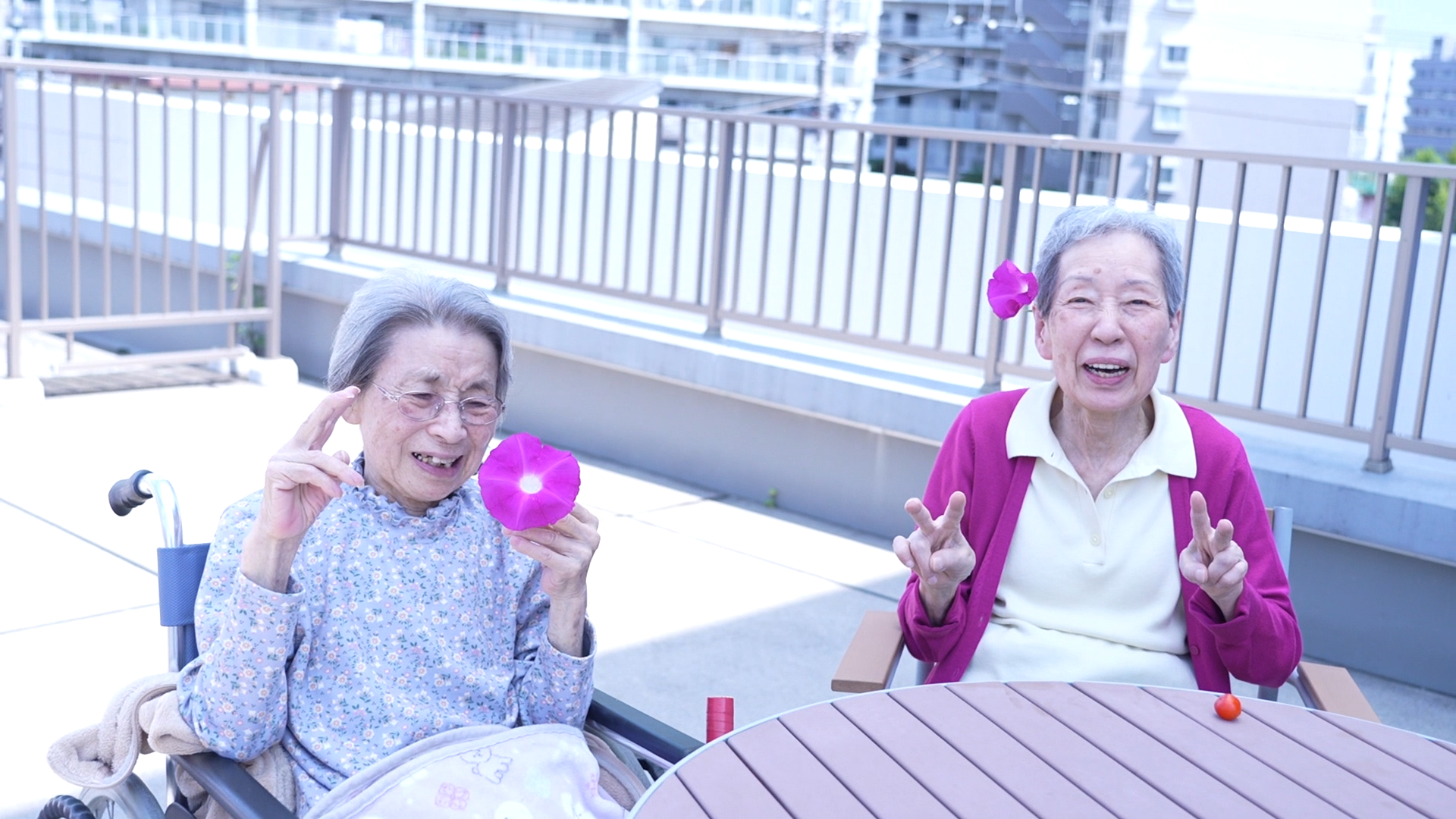 れが・しおんの活動
